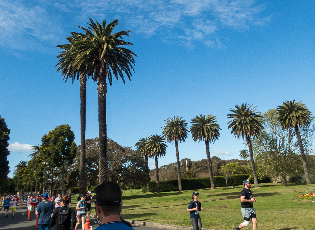 Sydney Marathon 2022 - Tor Rnnow