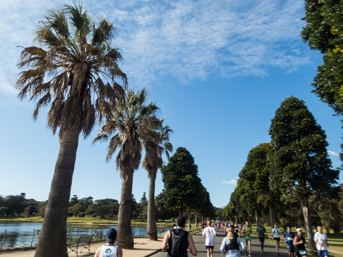 Sydney Marathon 2022 - Tor Rnnow