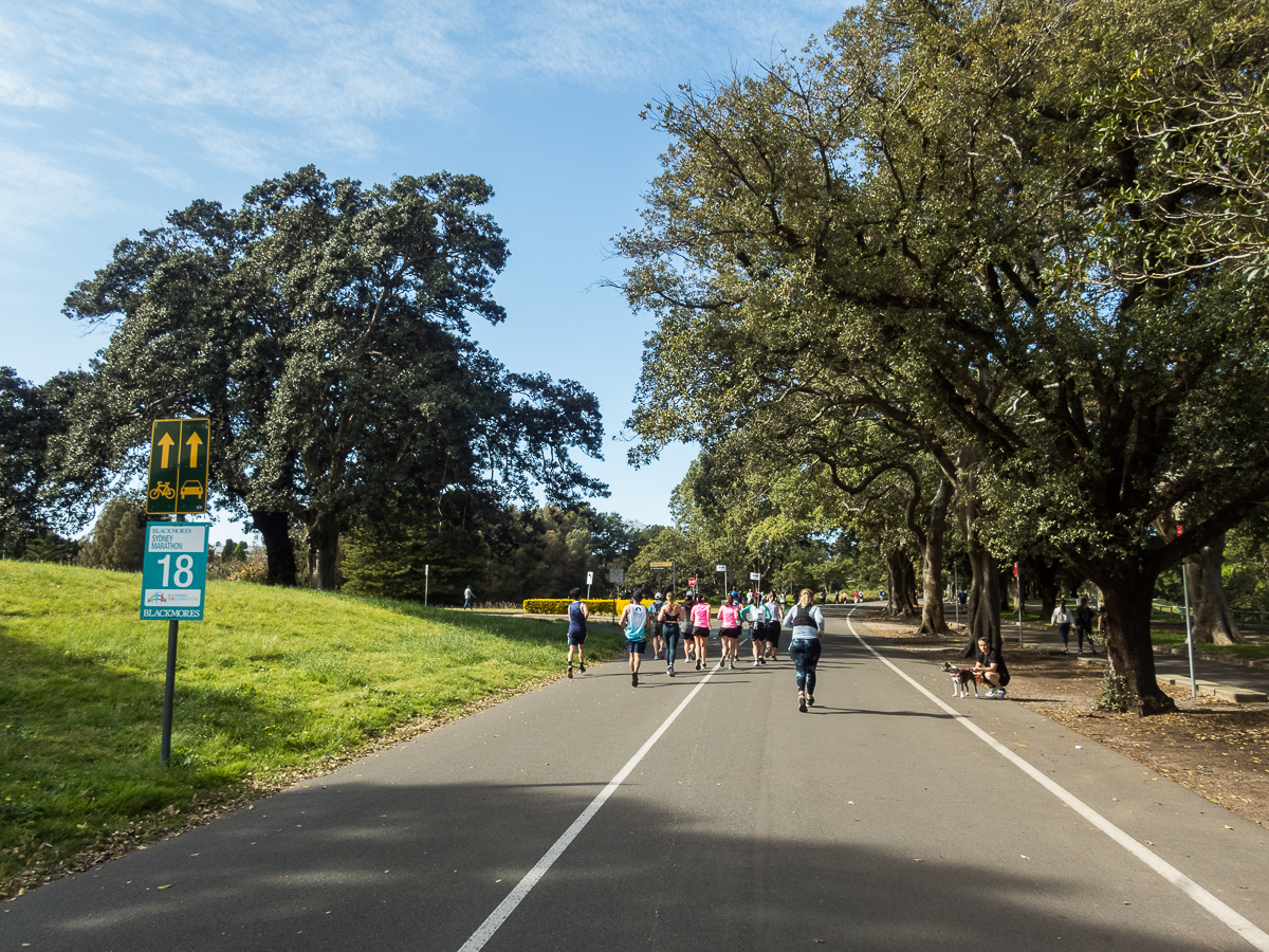 Sydney Marathon 2022 - Tor Rnnow