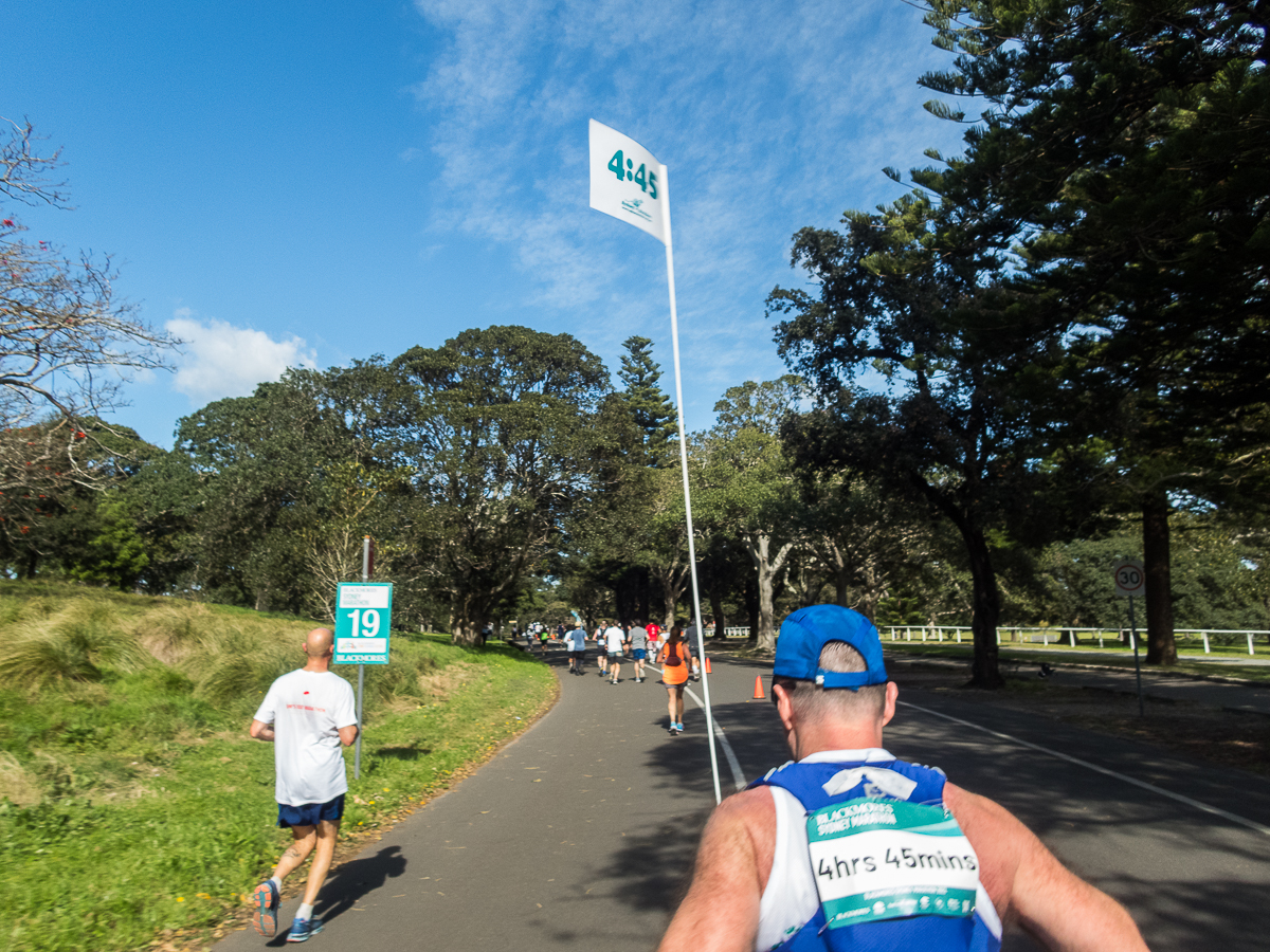 Sydney Marathon 2022 - Tor Rnnow