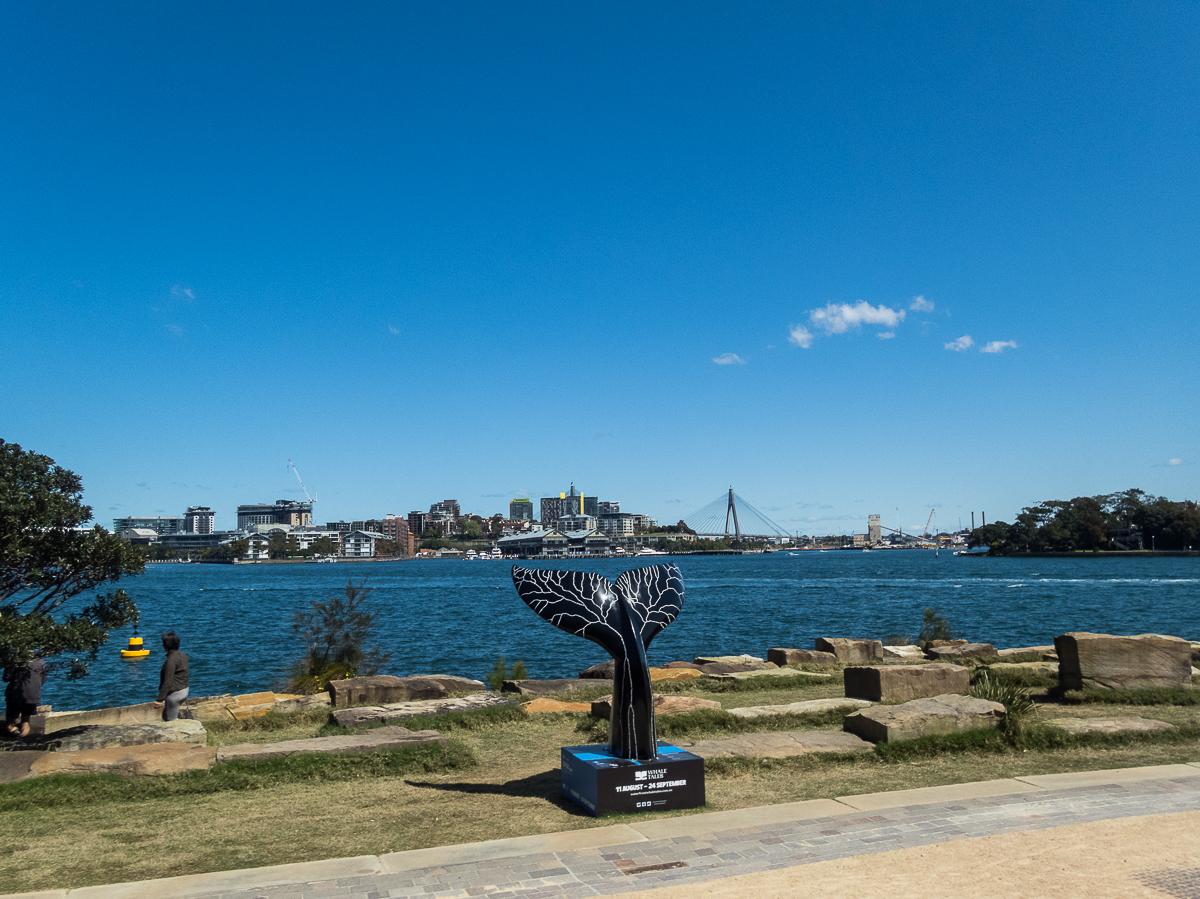 Sydney Marathon 2022 - Tor Rnnow