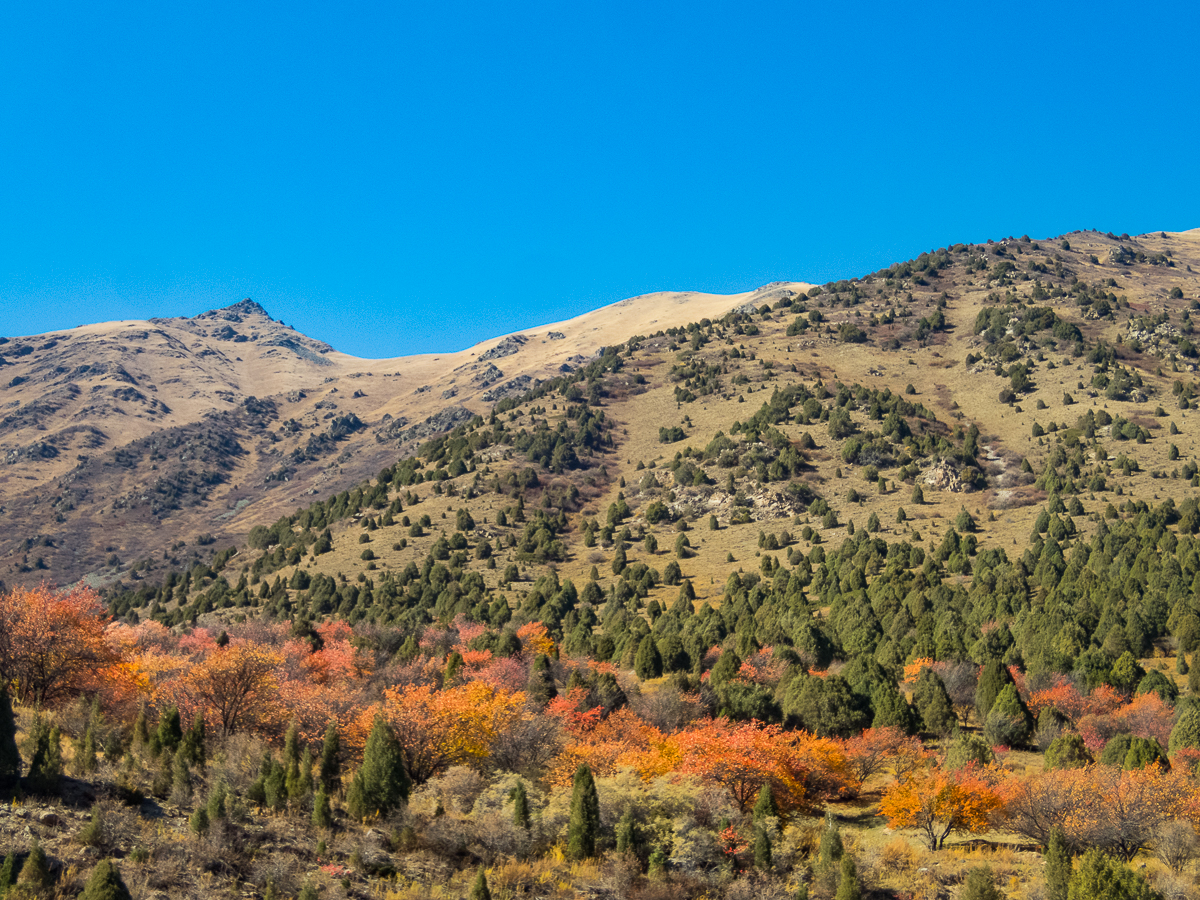 Bishkek Ala-Too Marathon 2023 - Kirgistan - Tor Rnnow