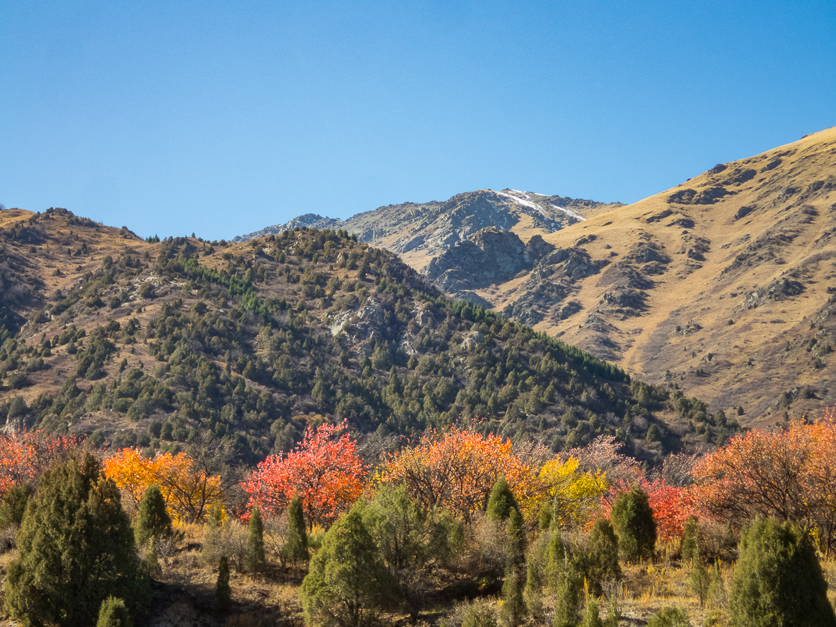 Bishkek Ala-Too Marathon 2023 - Kirgistan - Tor Rnnow