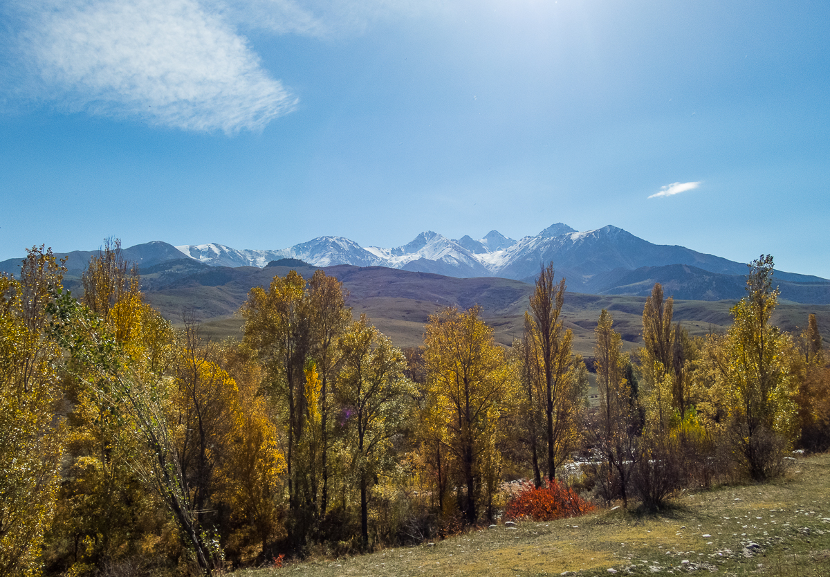 Bishkek Ala-Too Marathon 2023 - Kirgistan - Tor Rnnow