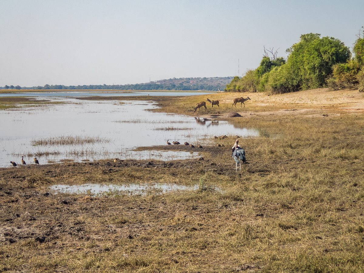 Victoria Falls Marathon 2023 - Tor Rnnow