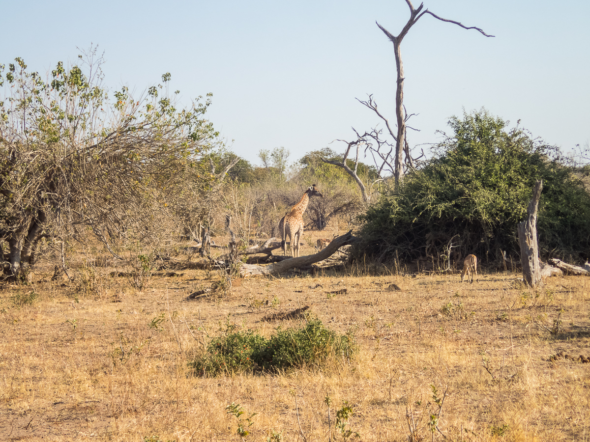 Victoria Falls Marathon 2023 - Tor Rnnow