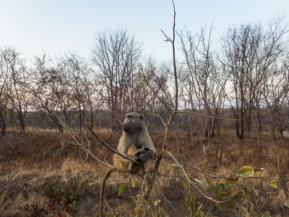 Victoria Falls Marathon 2023 - Tor Rnnow