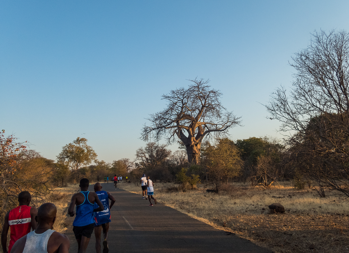 Victoria Falls Marathon 2023 - Tor Rnnow