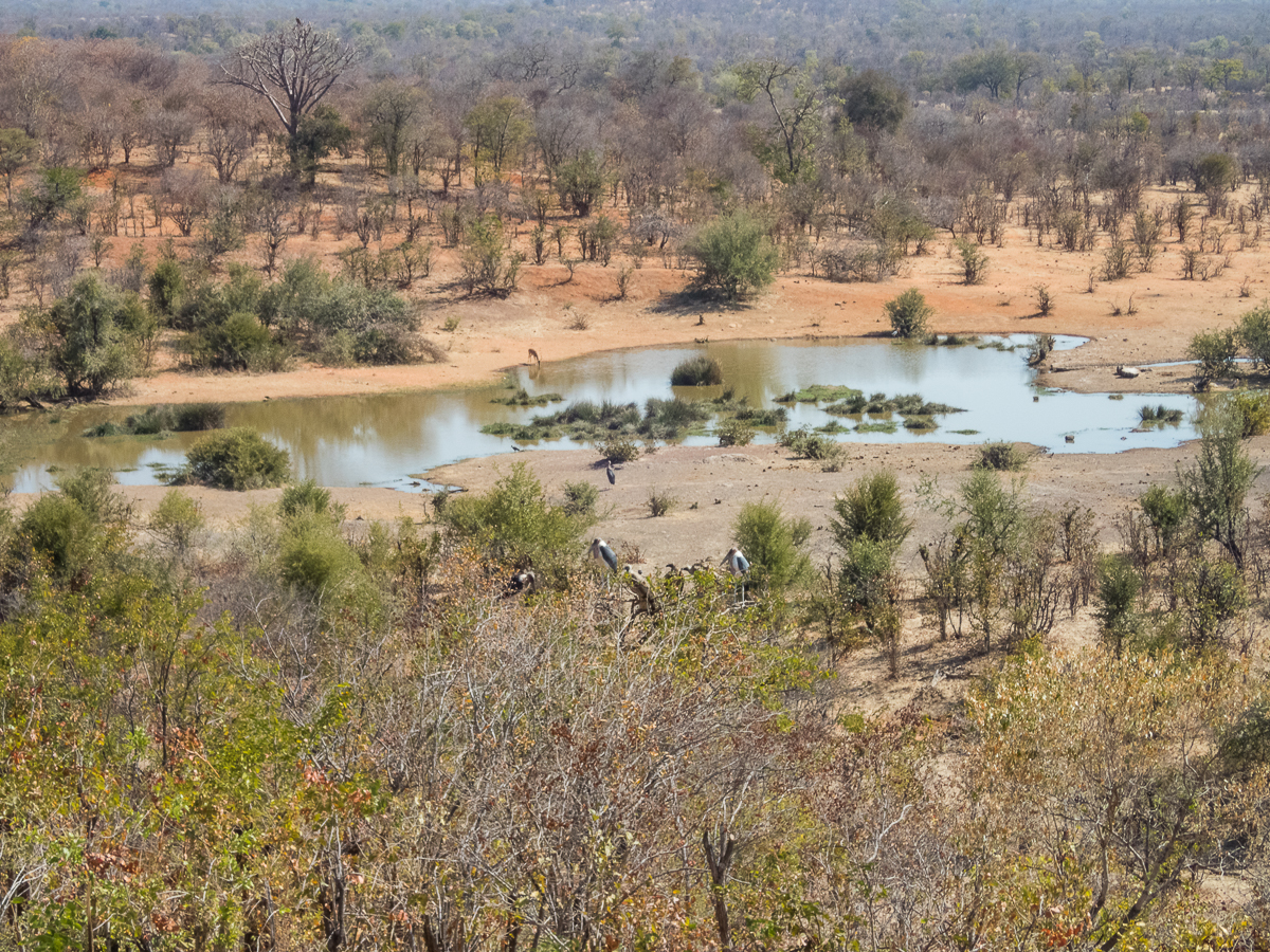 Victoria Falls Marathon 2023 - Tor Rnnow