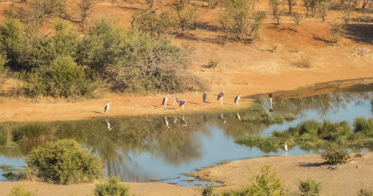 Victoria Falls Marathon 2023 - Tor Rnnow