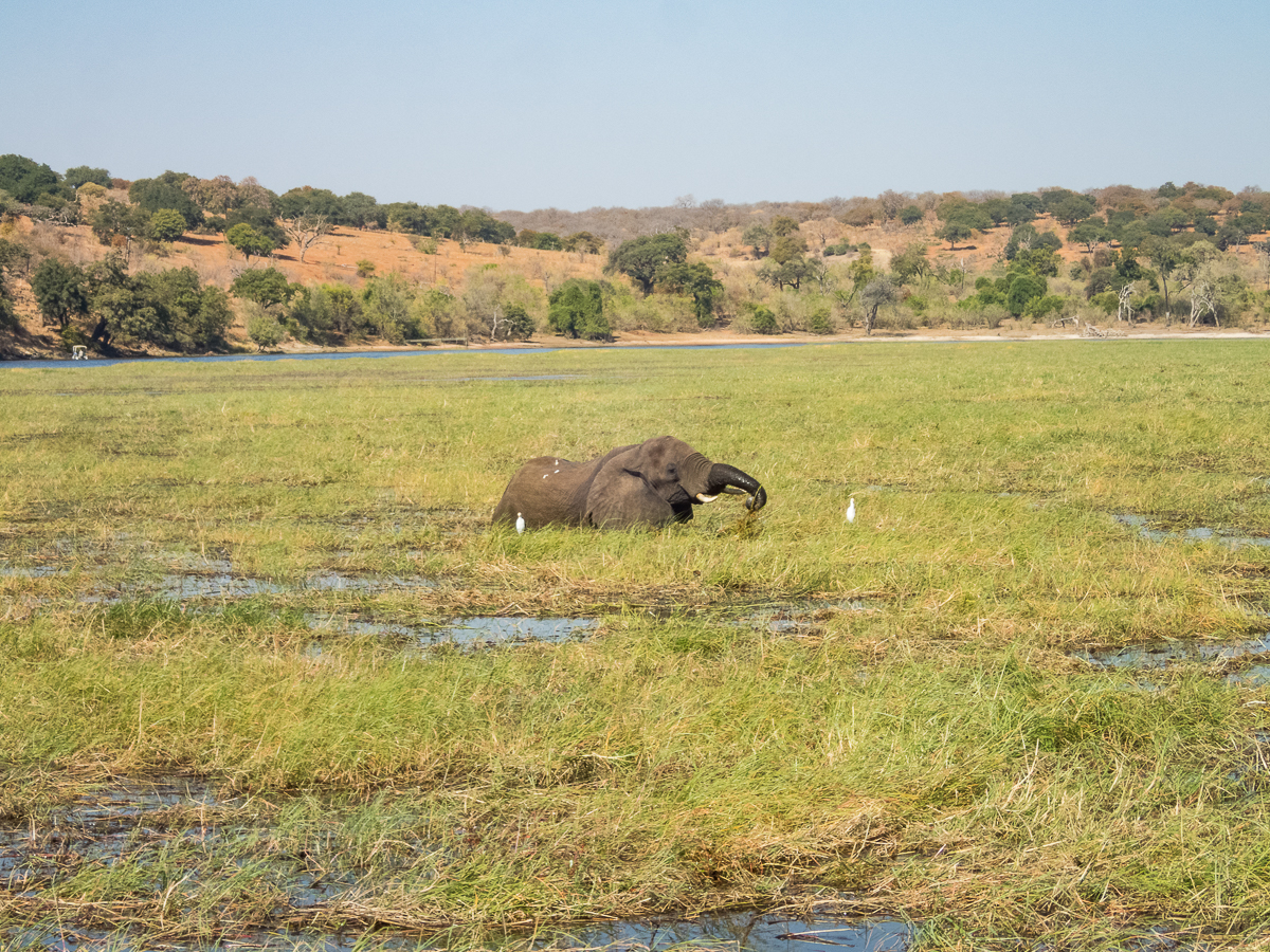 Victoria Falls Marathon 2023 - Tor Rnnow