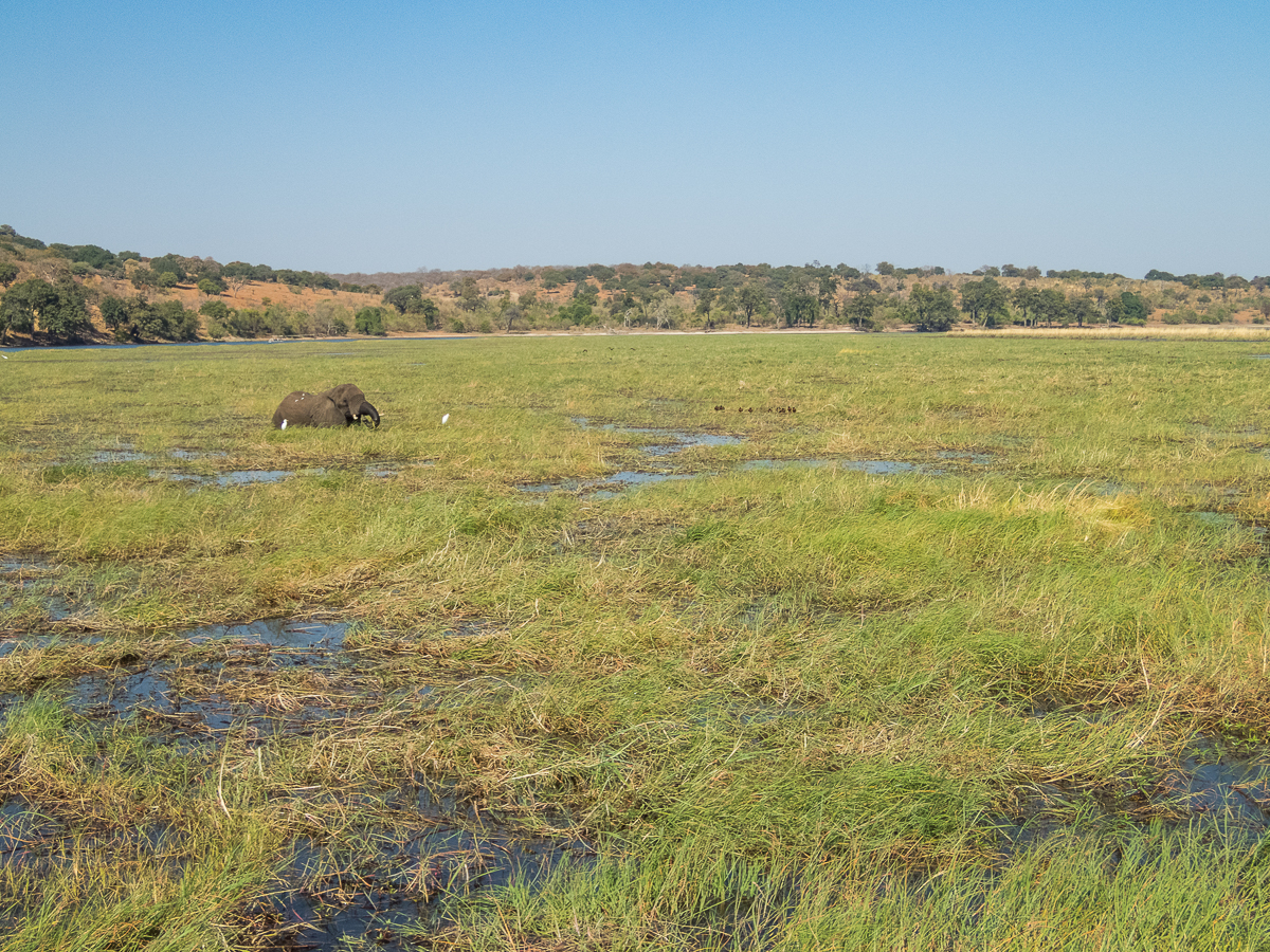 Victoria Falls Marathon 2023 - Tor Rnnow