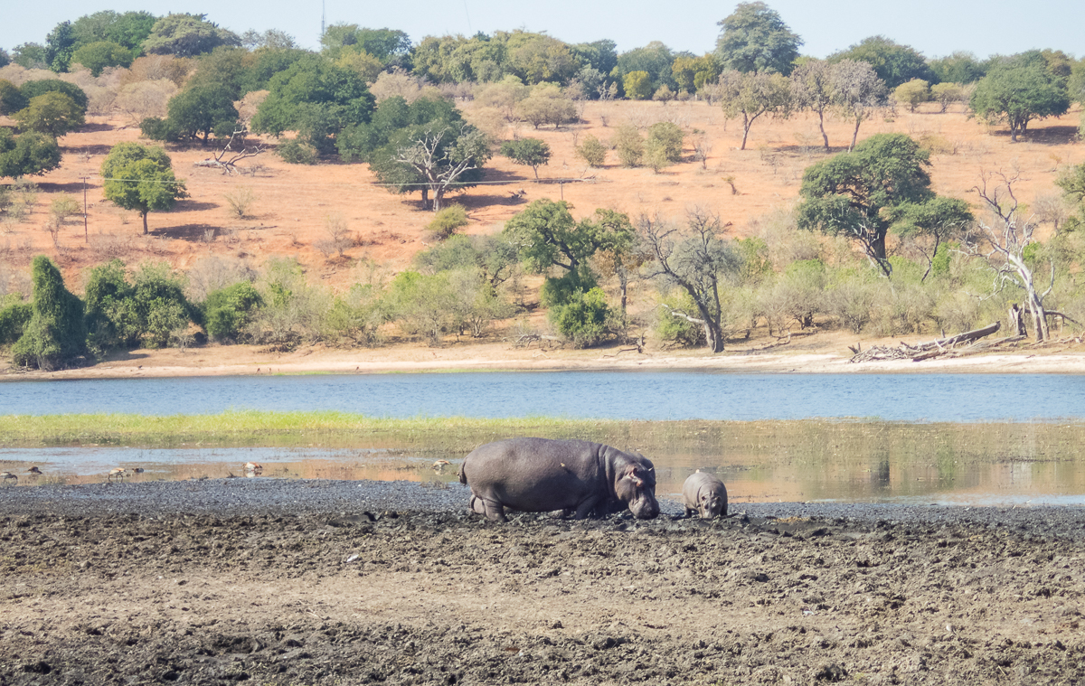 Victoria Falls Marathon 2023 - Tor Rnnow