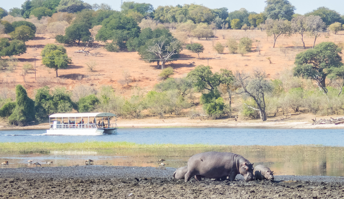 Victoria Falls Marathon 2023 - Tor Rnnow