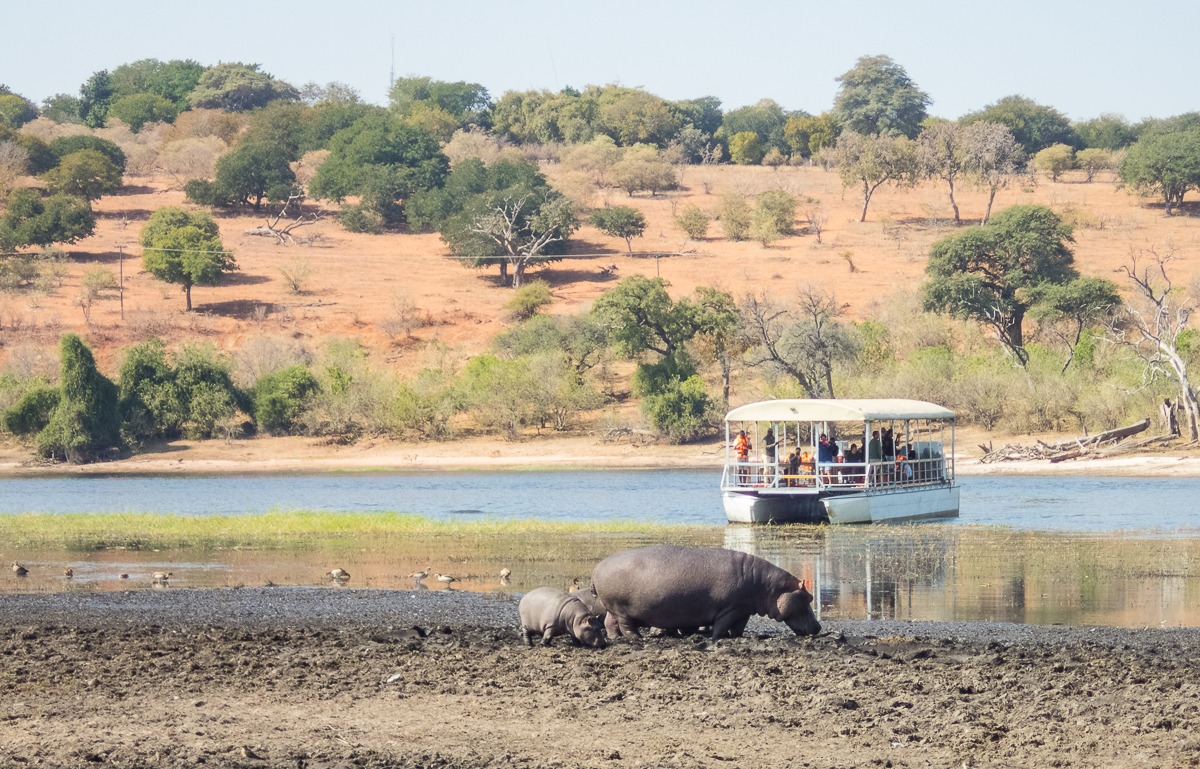 Victoria Falls Marathon 2023 - Tor Rnnow