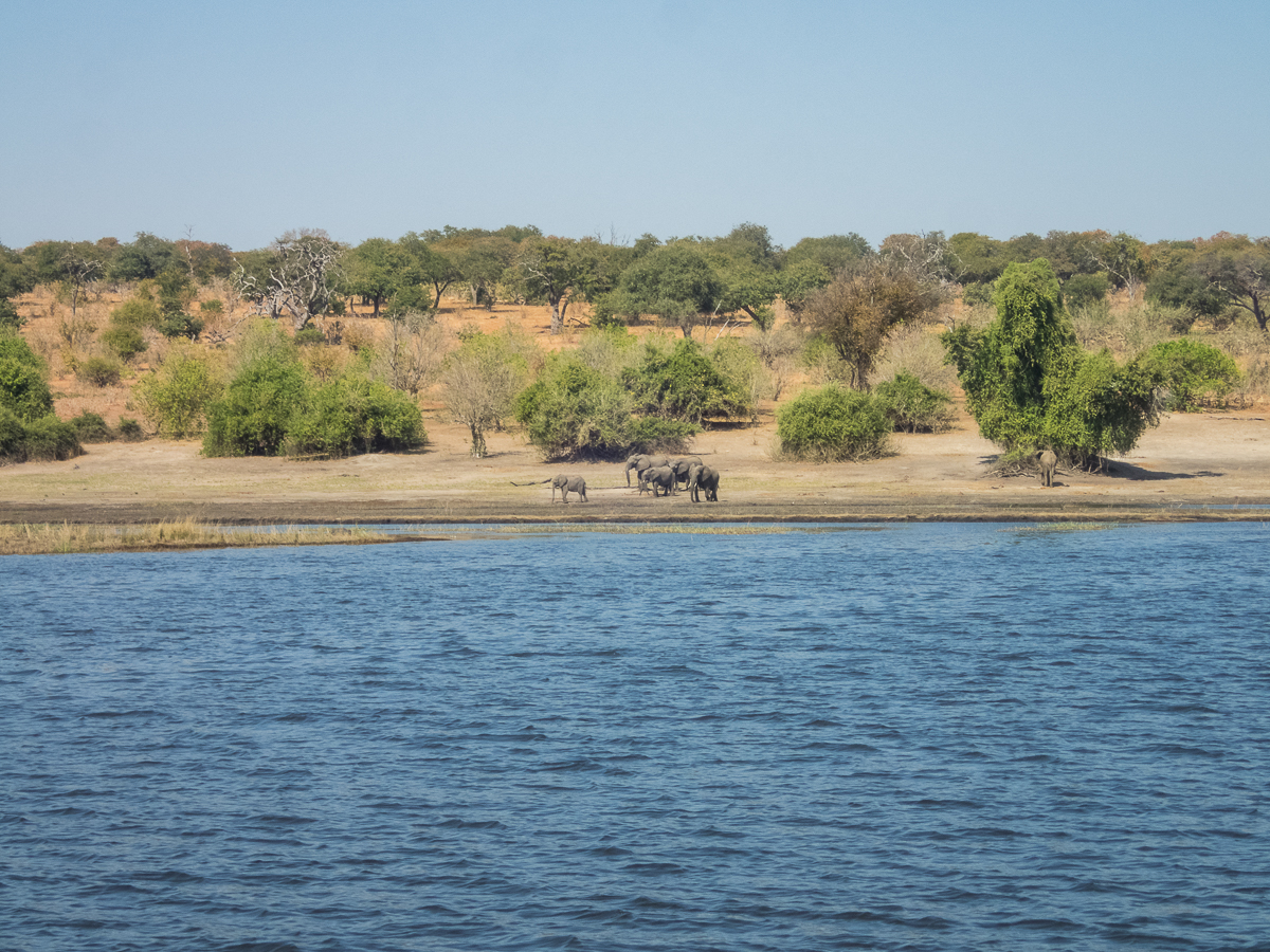 Victoria Falls Marathon 2023 - Tor Rnnow