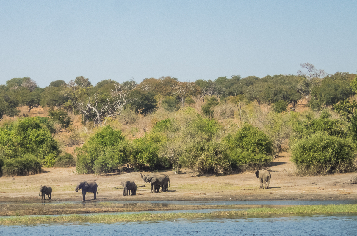 Victoria Falls Marathon 2023 - Tor Rnnow