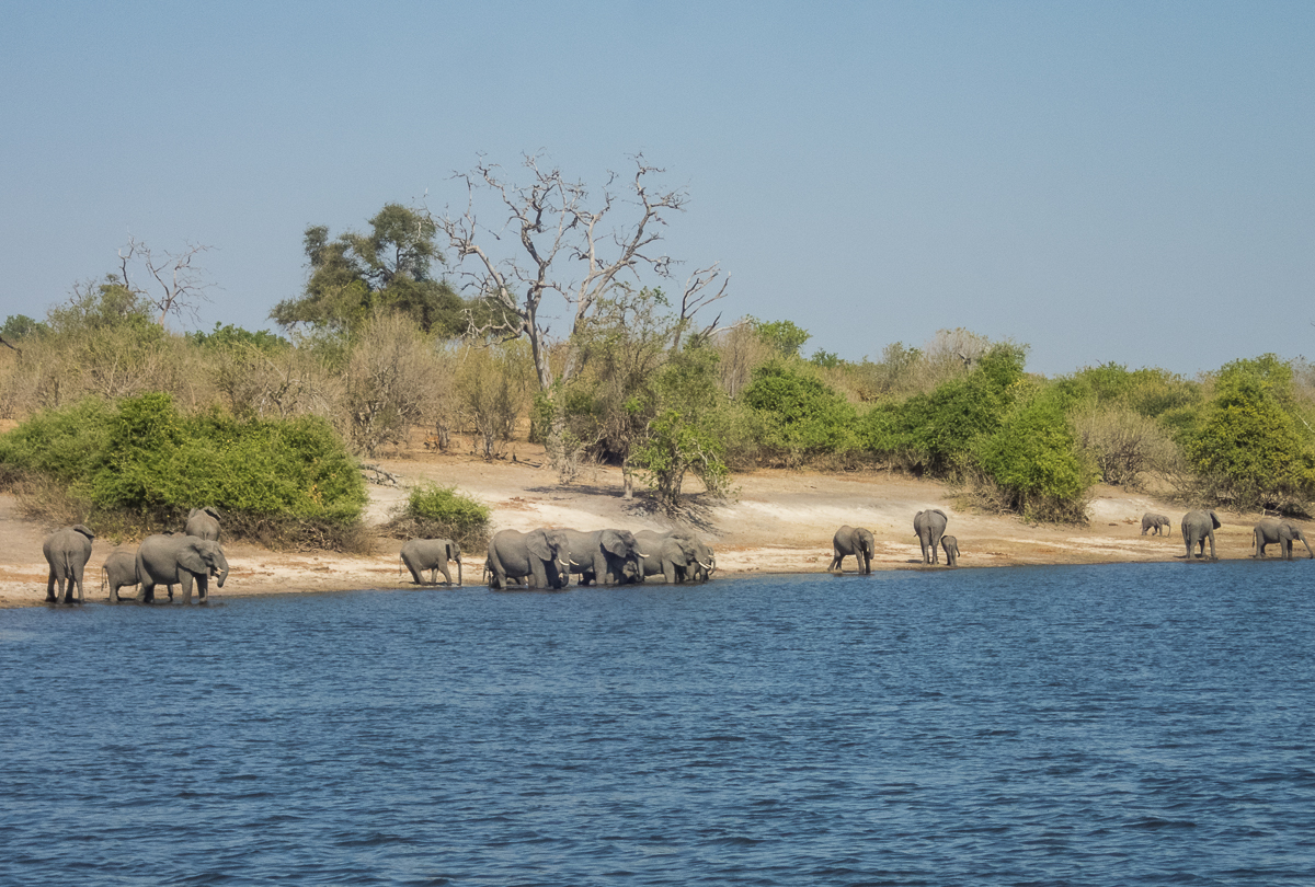 Victoria Falls Marathon 2023 - Tor Rnnow