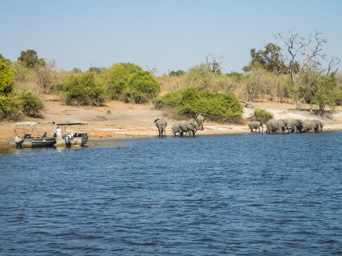 Victoria Falls Marathon 2023 - Tor Rnnow