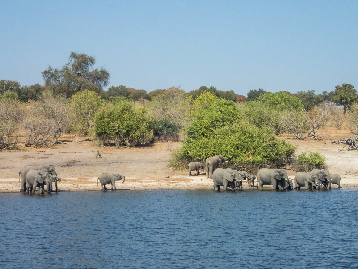 Victoria Falls Marathon 2023 - Tor Rnnow