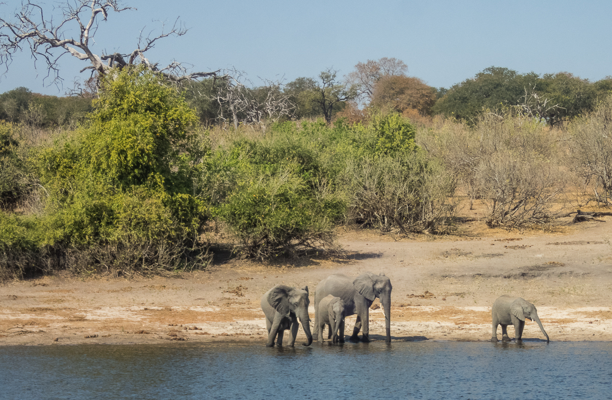 Victoria Falls Marathon 2023 - Tor Rnnow