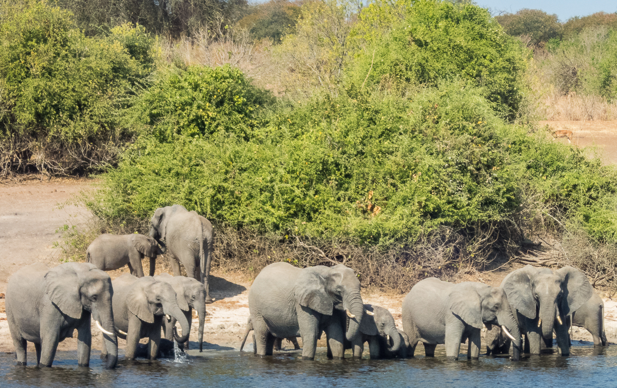 Victoria Falls Marathon 2023 - Tor Rnnow