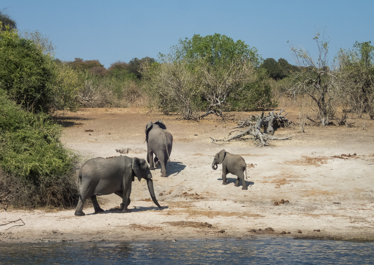 Victoria Falls Marathon 2023 - Tor Rnnow