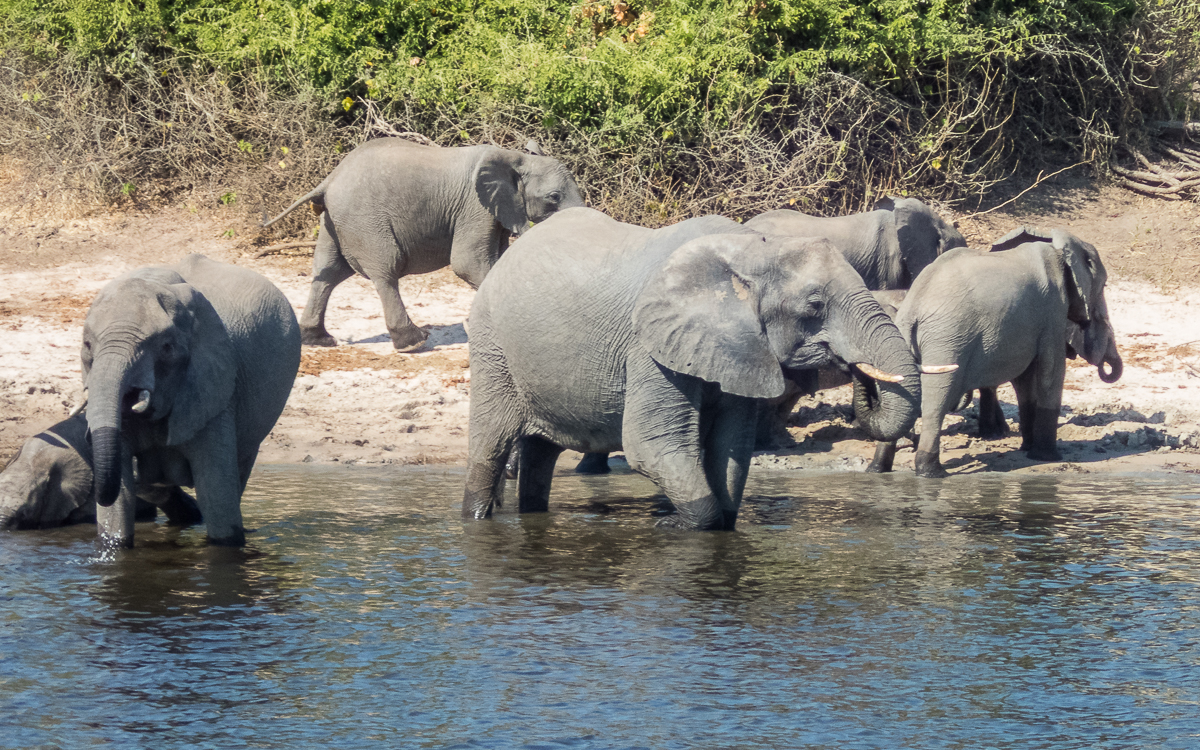 Victoria Falls Marathon 2023 - Tor Rnnow