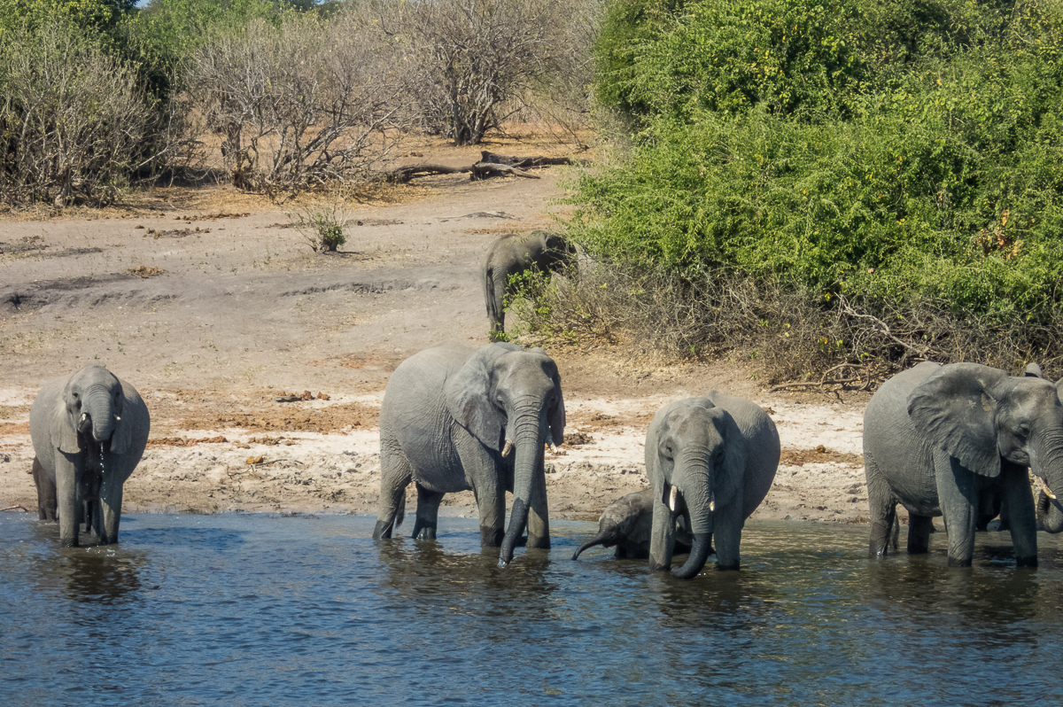 Victoria Falls Marathon 2023 - Tor Rnnow