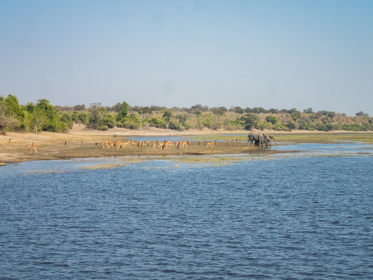 Victoria Falls Marathon 2023 - Tor Rnnow