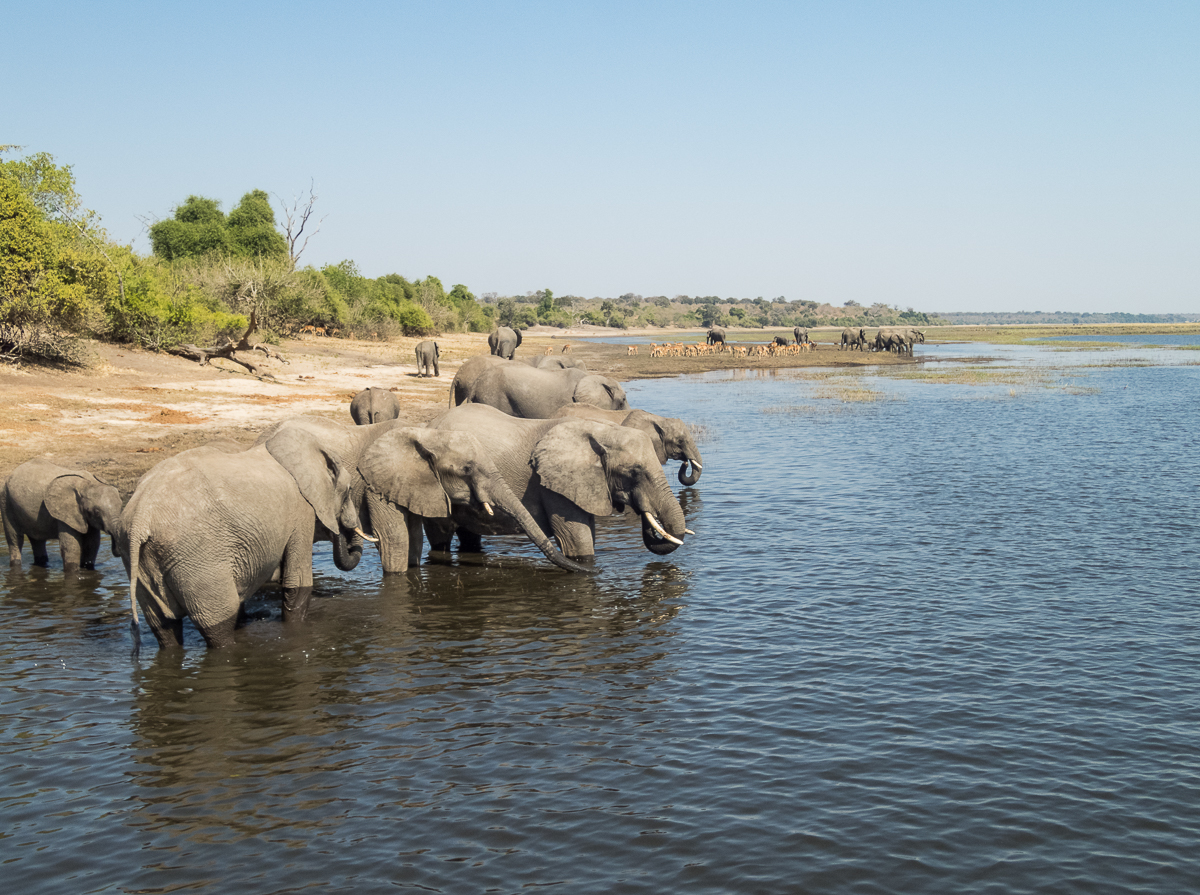 Victoria Falls Marathon 2023 - Tor Rnnow