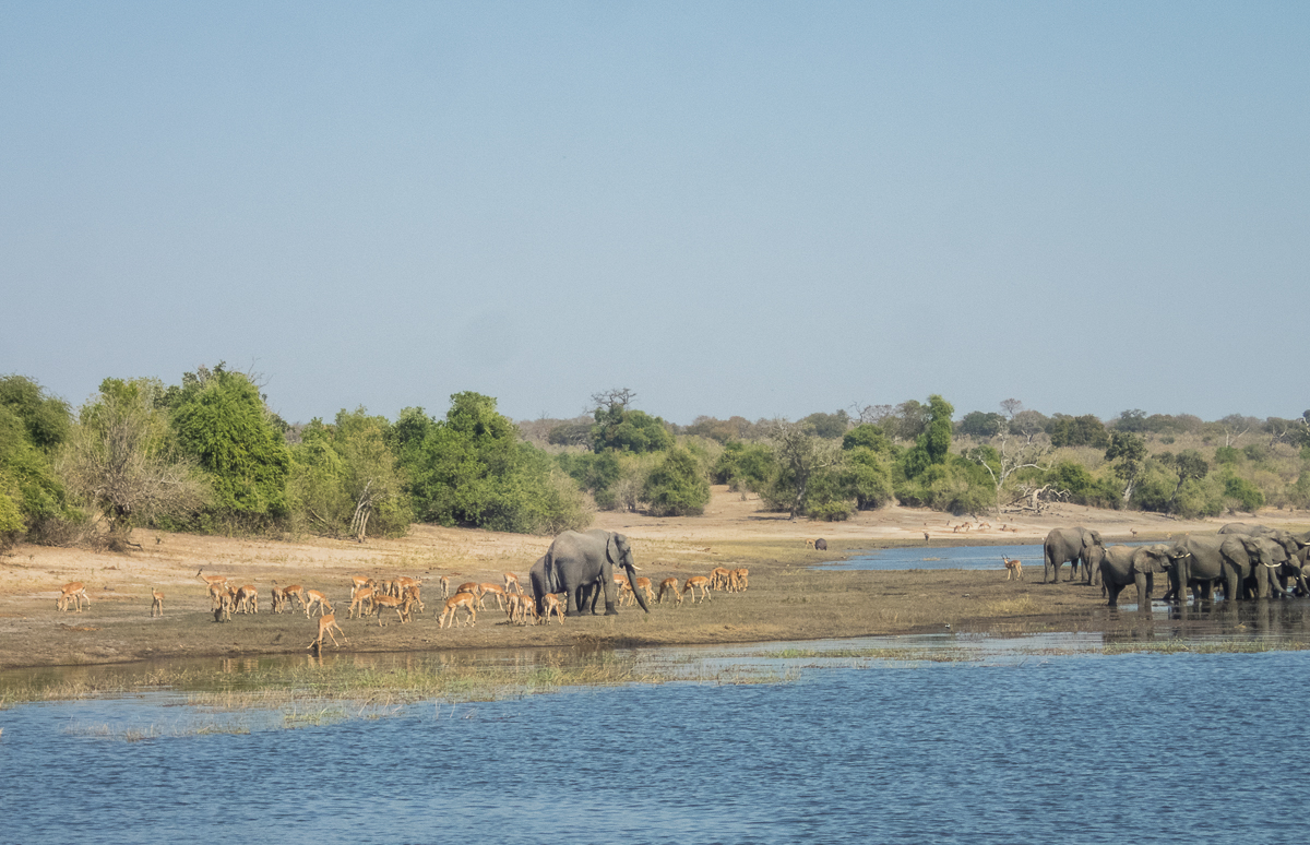 Victoria Falls Marathon 2023 - Tor Rnnow