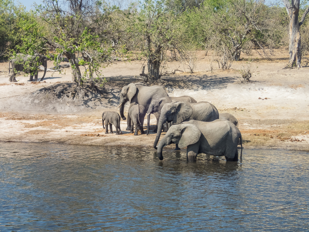 Victoria Falls Marathon 2023 - Tor Rnnow