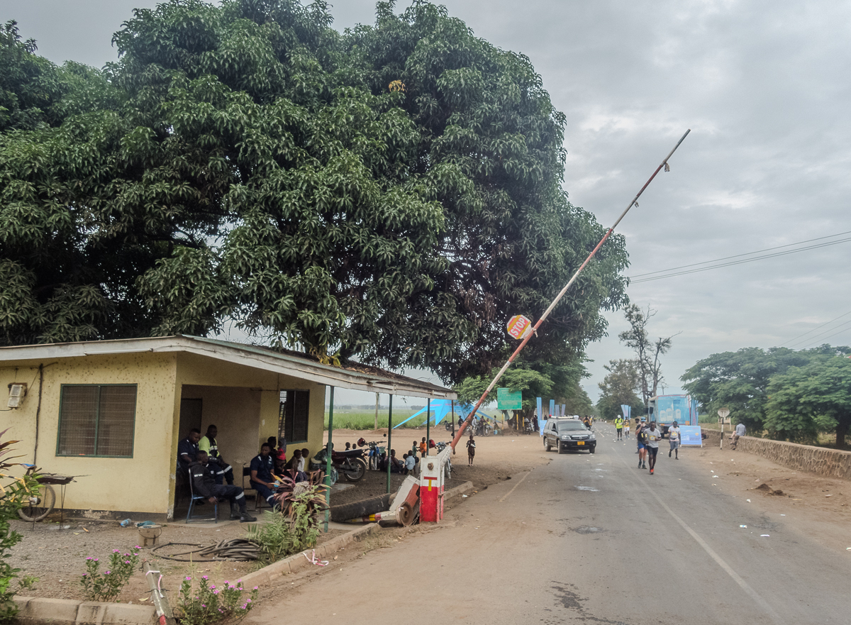 Kilimanjaro Marathon 2024 - Tor Rnnow