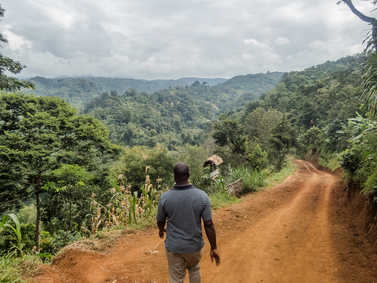 Kilimanjaro Marathon 2024 - Tor Rnnow