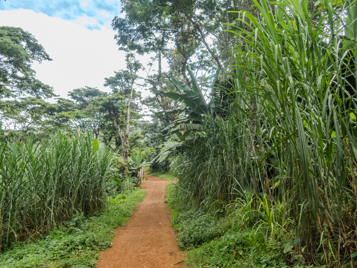 Kilimanjaro Marathon 2024 - Tor Rnnow