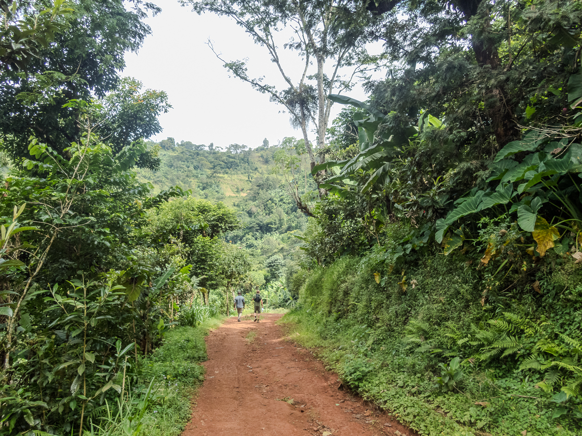 Kilimanjaro Marathon 2024 - Tor Rnnow