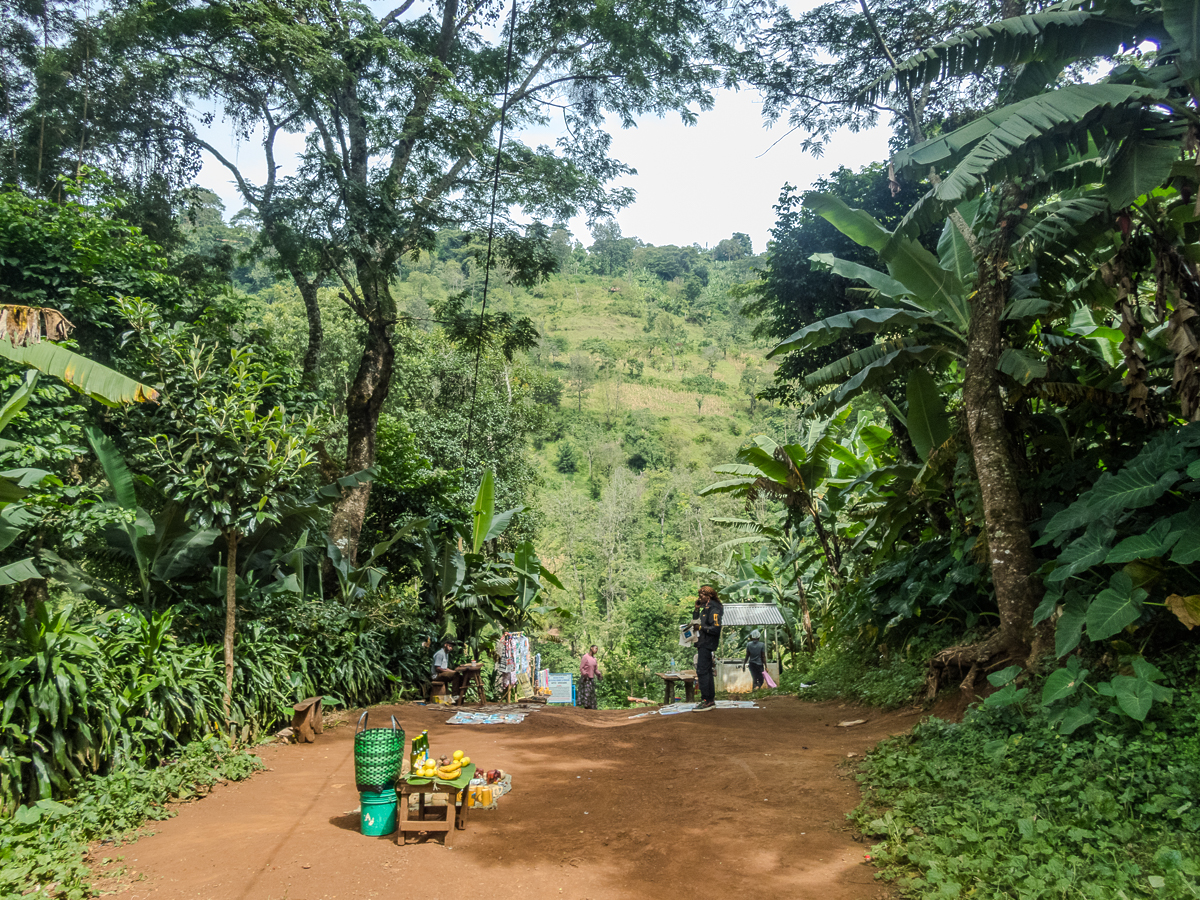 Kilimanjaro Marathon 2024 - Tor Rnnow