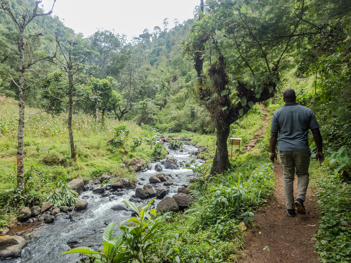 Kilimanjaro Marathon 2024 - Tor Rnnow