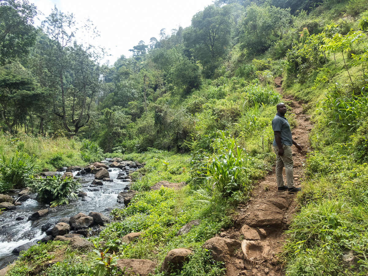 Kilimanjaro Marathon 2024 - Tor Rnnow