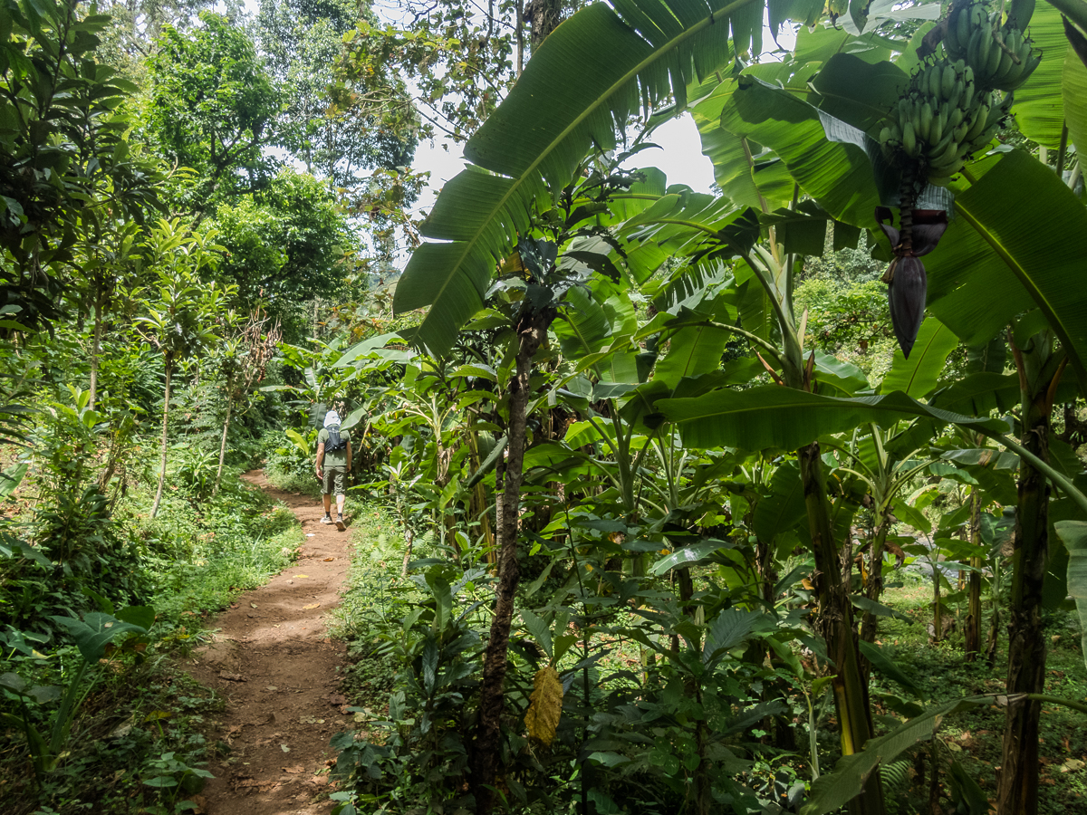 Kilimanjaro Marathon 2024 - Tor Rnnow