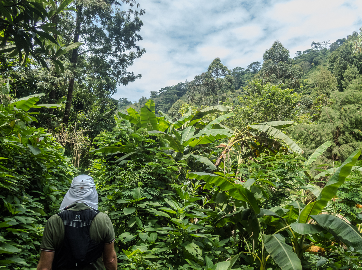 Kilimanjaro Marathon 2024 - Tor Rnnow