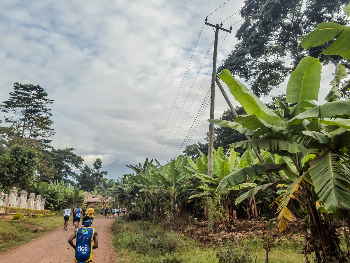 Kilimanjaro Marathon 2024 - Tor Rnnow