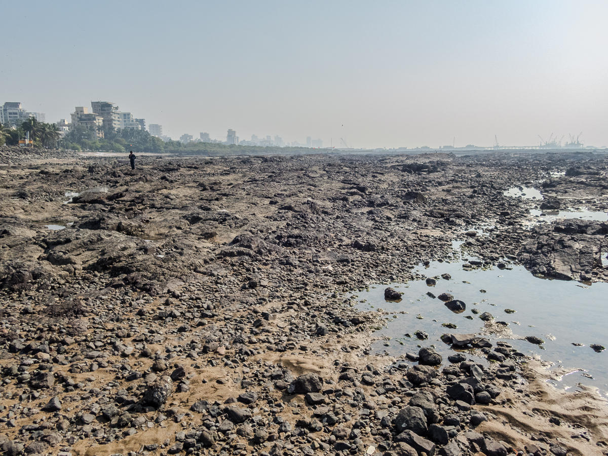 Mumbai Marathon 2024- Tor Rnnow